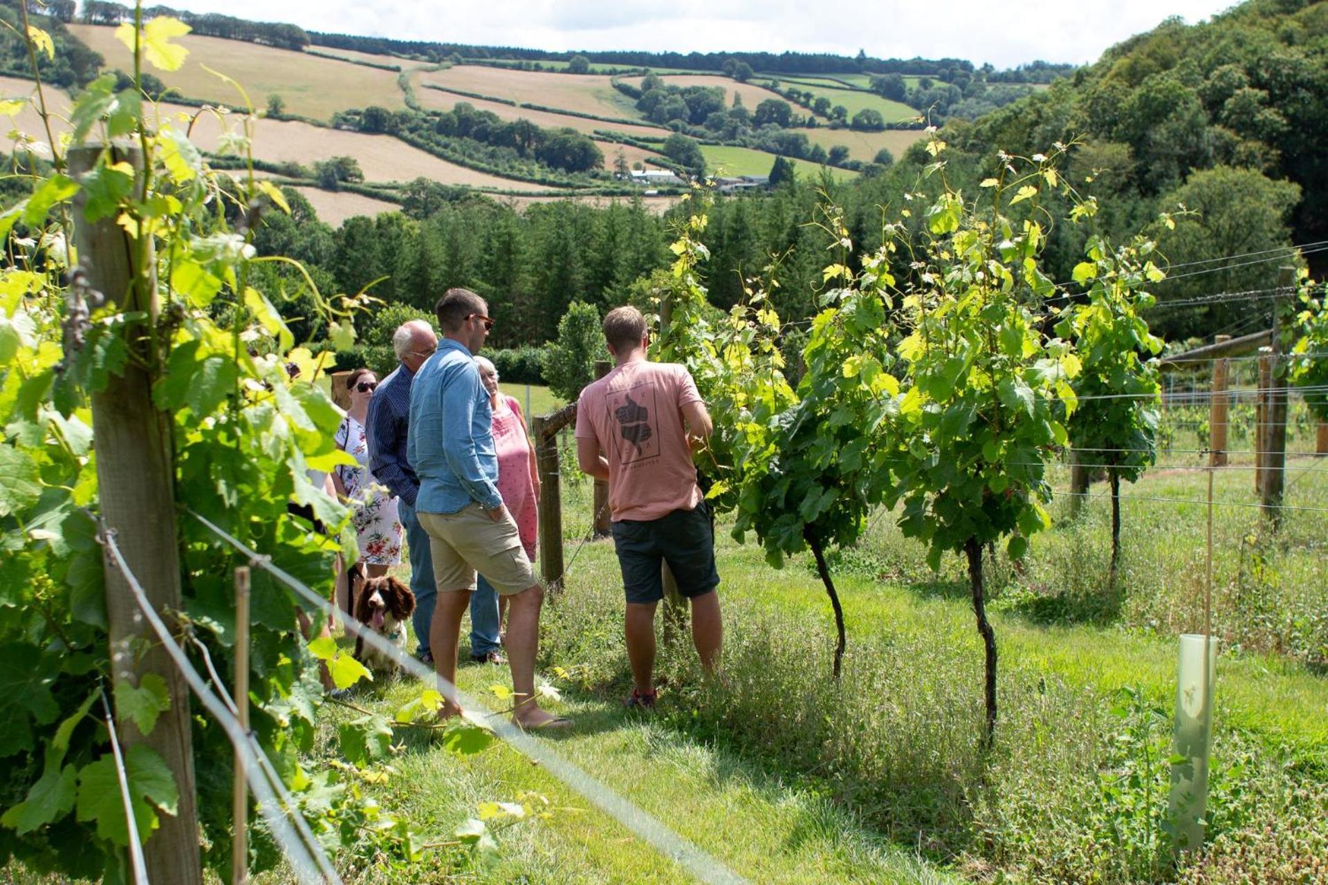 Villa Couples Retreat In Beautiful West Devon Countryside Broadwoodwidger Esterno foto